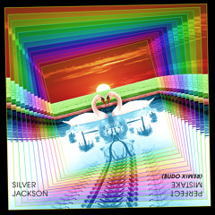 Silver Jackson - Perfect Mistake (BUDO Remix)