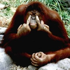 Jantsen and Dirt Monkey-Freak that shit (Child's play remix preview clip)