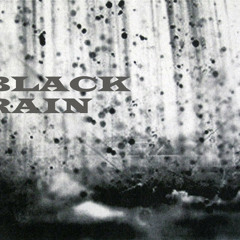 Mike Stern - Black Rain