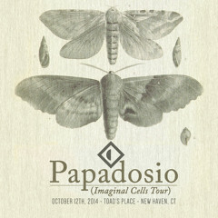 Universal Traveler (Air) > Garden | Toads Place | 10.12.14 | New Haven, CT