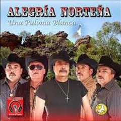 Alegria Nortena amor De La Vida Alegre