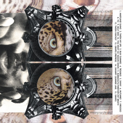 13 Grapes (preprise)