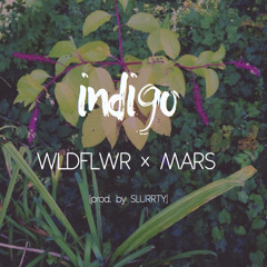 Indigo (ft. MARS)(prod. by SluRrty)