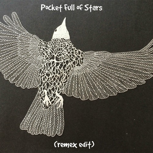 Nine Black Alps-Pocket Full of Stars(Remex Edit)