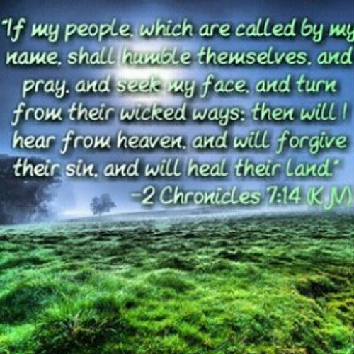 I've Made Up My Mind - The McClure Family