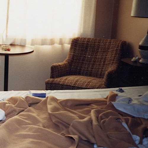 surrenderdorothy - (bonus) c'monscience!