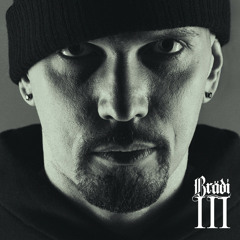 Brädi Ft. Herrasmiesliiga - Joku Päivä (Instrumental)