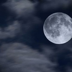 Nilaave Vaa   Haricharan W  Bennet & The Band   Music Mojo   Kappa TV