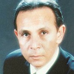 أحب أشوفك كل يوم .