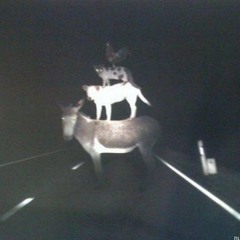 SchepperJochen Sei Dank @ W²³ Rec.