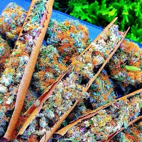 Marijuana at TingelTangelTek
