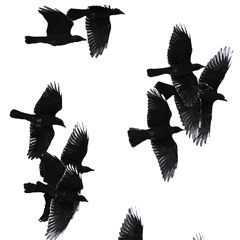 Poème porno documentaire sonore (lire le poème en description)