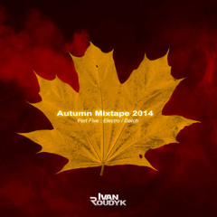 Ivan Roudyk - Autumn Mixtape 2014 Part 5(Electro)