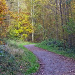 Herbstgedicht