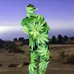 Smoke Tron