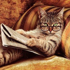 Pilc /Malaby/ Dayraud/Street: Improvisation 1