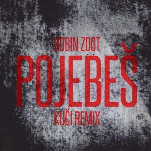 ROBIN ZOOT - POJEBEŠ