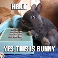 The Littlest Rose-Marie