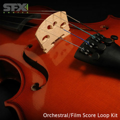 ORCHESTRAL & FILM SCORE - Loop Kit by SFX Source