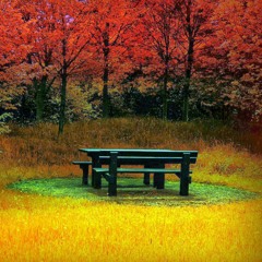 سبحان الله و الحمدلله ولا اله الا الله والله أكبر