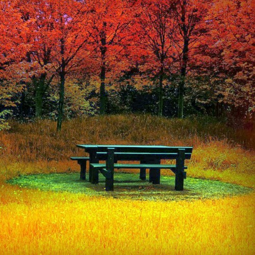 سبحان الله و الحمدلله ولا اله الا الله والله أكبر