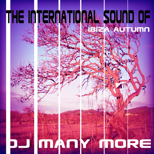 The International Sound of DJ Many More