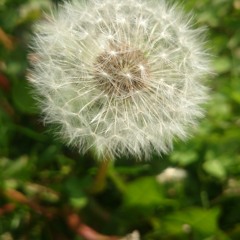 PLAYLIST: Just Awesome Techno, Minimal, Techno