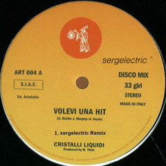 Cristalli Liquidi - Volevi Una Hit (sergelectric Remix)