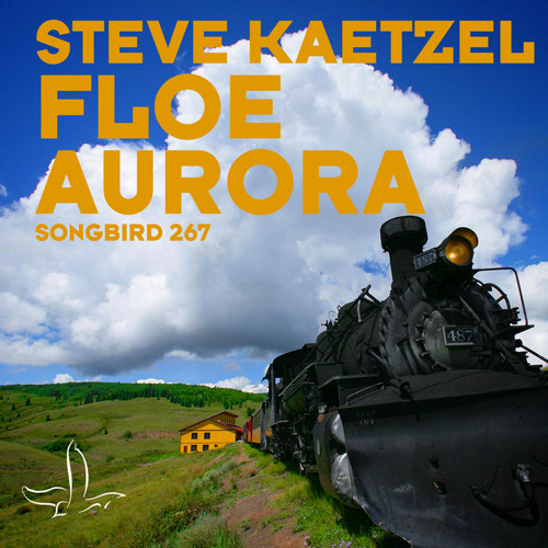 Steve Kaetzel - Floe (Alex O'Rion Remix)