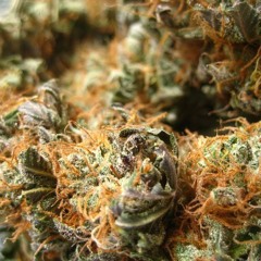 Chemistry - Walk Right In (VIP Mix) [November 2014] [FREE DL]