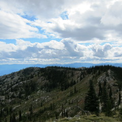 60s Psychedelic Trip - 4