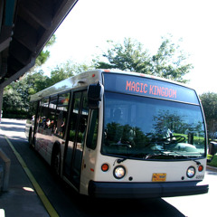 Disney Bus