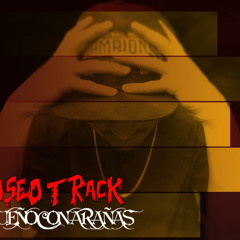 2 SUEÑO CON ARAÑAS