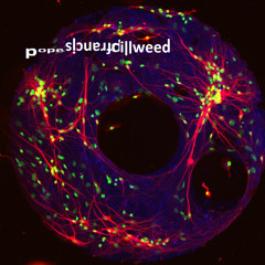 matrix of the universe Prod. Pope Francis Dillweed