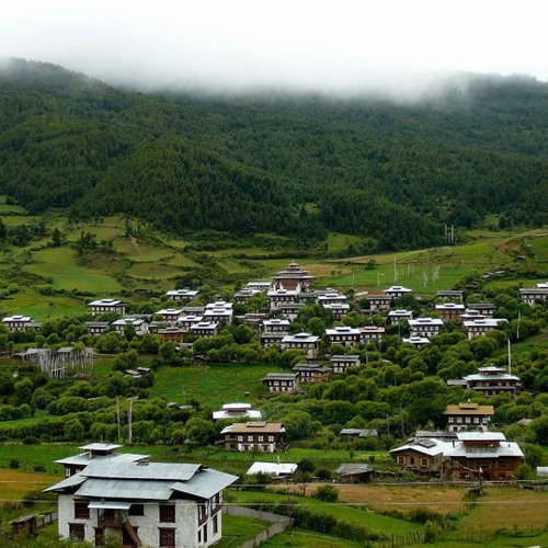 Gung Dang Trin Gi Tsam Lay By Pema Samdrup & Pema Lhamo