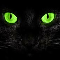 MysticKnight Vol #2 Big Room, Deep House, Festival Trap!!