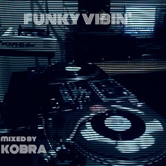 FUNKY VIBIN'