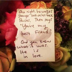 You Are In Love (Taylor Swift) Acoustic Cover