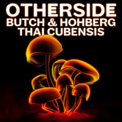 Butch & Hohberg - Thai Cubenis (Vinyl Speed Adjust Remix)