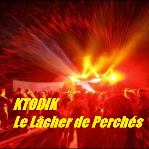 ★ Le Lâcher de Perchés ★ KTODIK ★ (Paranoize 12 ★ Astrofonik)