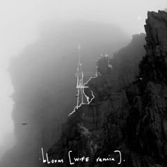 Bloom (WIFE Remix)