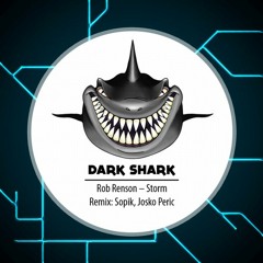 Rob Renson - Storm (Sopik Remix)
