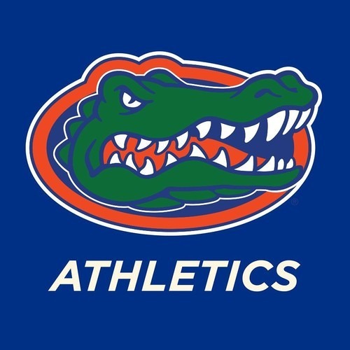 How to watch, stream, and listen to the Florida Gators series vs LSU