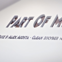 Part Of Me (Saul Ruiz & Alex Acosta - Clean Djcyber Mix)