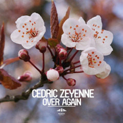 Cedric Zeyenne - Over Again (Mart Radio Mix)