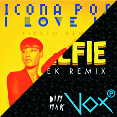 Icona Pop - I Love It (Tiesto Remix) VS The Chainsmokers - #Selfie (Botnek Remix)(Vox Mashup)