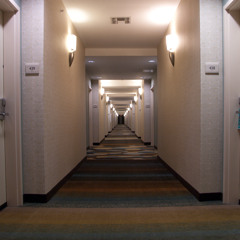 SDC - Uno