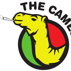 Pensaba Y Elemento - The Camels