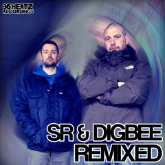 Back to Basics (DJ Vapour Remix)Remix EP