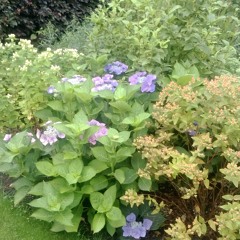 05 Sunshine Of Your Life ( Cream)